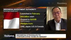 Indonesia's Long-Term Trajectory 'Intact': Wealth Fund Chief News Clip