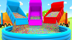 Fish Instructional Video