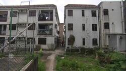 Canada grants asylum to one of Edward Snowden’s ‘angels’ News Clip