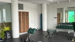 Inside Australia's National Cricket Centre: Where the champions train! News Clip