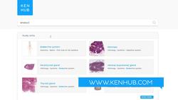 Endocrine system: Quiz questions, diagrams and study tools Instructional Video