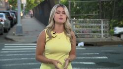 NYPD identifies 86-year-old man fatally struck by DOT truck in Bay Ridge News Clip