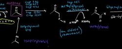 Acetone Catabolism Instructional Video
