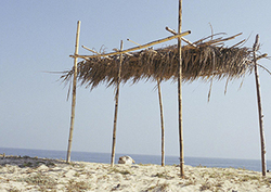 Elección de materiales adecuados Instructional Video