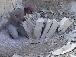 Explorando fósiles: recapitulación Instructional Video