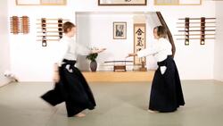 How to Do Udekime Nage in Aikido Instructional Video