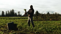 Winter Farming: A Tale of Bitter and Sweet Instructional Video