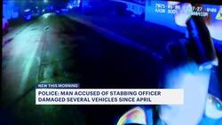 Officials: Man accused of stabbing Suffolk police officer faces additional multiple charges for damaging cars News Clip