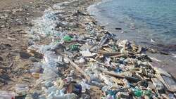 The Real World Instructional Video