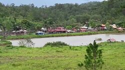 VOICED : Animales de zoológico hondureño sobreviven con donaciones durante pandemia News Clip