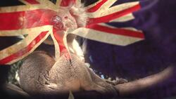 The Fascinating World of Koalas: Unique Facts and Discoveries Instructional Video