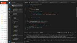 Handling Express Errors Instructional Video