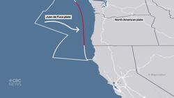 Multiple earthquakes in a short time. Should you be worried? News Clip
