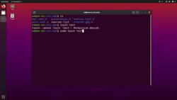 Practical Linux Command Line 2.0 - Run a Command with Admin Privilege (sudo) Instructional Video