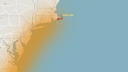 Sheepshead Fish: The Fascinating Fish With Human Teeth! Instructional Video