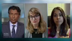 What do two doctors think about the NHL’s hub cities? News Clip