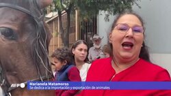 VOICED : Desfile multitudinario muestra la cultura del caballo en Costa Rica News Clip