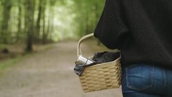 Woman picking mushrooms and drinking coffee in the forest Stock Footage