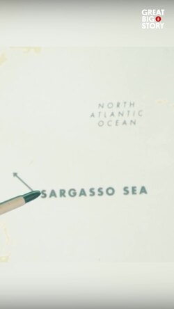 Mysteries of the Sargasso Sea, a submarine captain's discovery Instructional Video