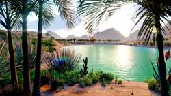 Exploring the Sahara Desert: From Landscapes to Quicksand Instructional Video