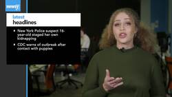 Newsy's Latest Headlines News Clip