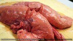 Top 10 Places to Eat & Drink in Rome Instructional Video