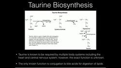 Taurine Biosynthesis Instructional Video