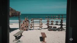 Jungle Gym Instructional Video