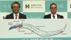 CLEAN : What a worm! Japan firm uses nematodes to sniff out cancer News Clip