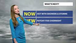 Cloudy skies to follow gusty thunderstorms in Brooklyn News Clip