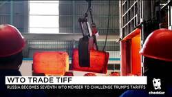 Russia Challenges Trump Tariffs, But Will the White House Budge? News Clip