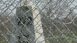 New anti-migrant fence erected between Bulgaria and Turkey News Clip