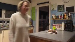 CLEAN : Austria's mandatory vaccination sees some turn to "parallel society" News Clip