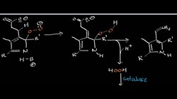 Coproporphyrinogen Oxidase: Physiology, Biochemistry, and Organic Mechanism Instructional Video