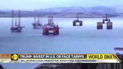 Davos Summit 2025: Trump says he's ready to meet Putin 'immediately' to secure end of Ukraine war News Clip