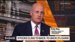 Merrill's Sieg Bullish on Markets Despite Volatility News Clip