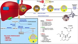 Lipoprotein Physiology [Part 2] | Pharmacology of LDLs, HDLs, & TAGs Instructional Video