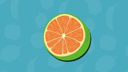 High Five Facts - Fruit Instructional Video