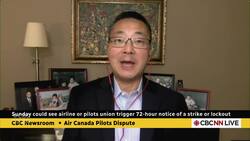 CBC's Marianne Dimain speaks with Former COO of Air Canada Instructional Video