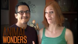 New Little Rescues - Feathers and Spines Instructional Video