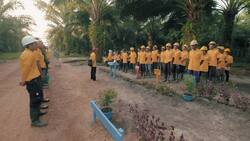 The Impact of Palm Oil: Controversies and Challenges in Indonesia Instructional Video