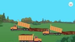 What Have Sunflowers Got To Do With Nuclear Disasters? Instructional Video