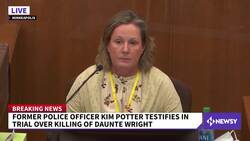 Kim Potter: Daunte Wright Traffic Stop 'Just Went Chaotic' News Clip