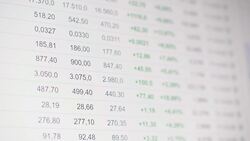 Shiba Inu Coin Review Instructional Video