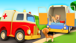 Ambulance Instructional Video