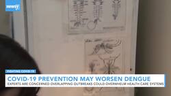 COVID-19 Prevention Efforts Are Hampering Dengue Fever Efforts News Clip