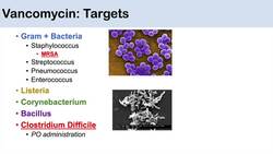 Vancomycin | Bacterial Targets, Mechanism of Action, Adverse Effects Instructional Video