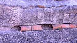 Roman Engineering: Aqueducts, Bridges, and Roads Instructional Video