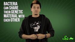 Attack of the Super Bugs Instructional Video