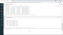 PySpark and AWS: Master Big Data with PySpark and AWS - Spark DF with Column Instructional Video